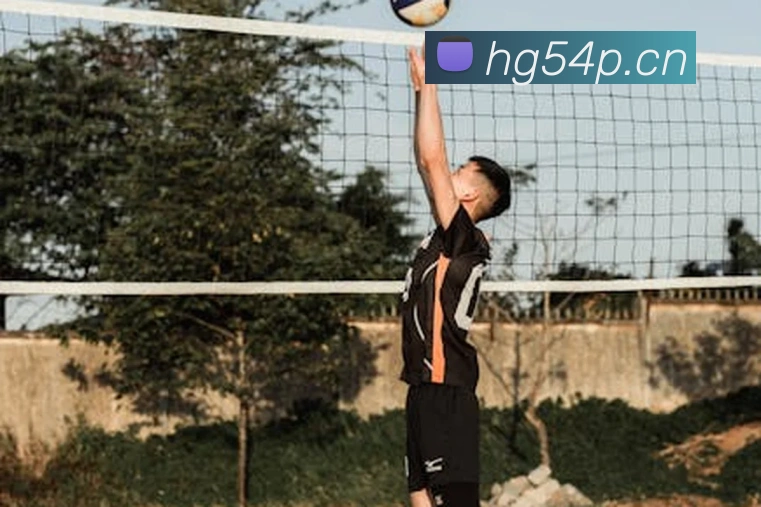 乐鱼在线登陆入口品牌故事