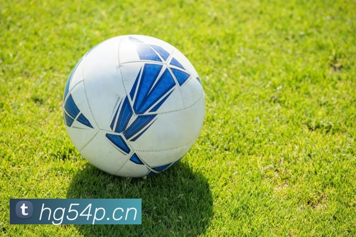 乐鱼在线登陆入口服务体系